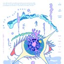 수성아트피아 솔로이스츠 정기연주회 | 문화예술공연_2025년11월16일_일요일