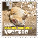 [청주] 아이와 가볼만한곳 추천! 입장료 1천원 청주랜드동물원 솔직 후기