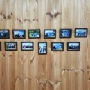 황성약국 이미지