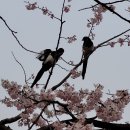 겨울아침창가에서 이미지