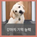 24시 산들산들 동물병원 이미지
