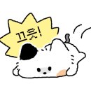 옴마켓 네이버블로그