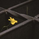 KT평택빌딩 이미지