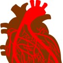 바로스탑한의원 이미지