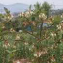 궁한옥민박 이미지