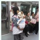 커피언니 이미지