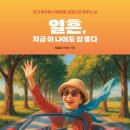 디엠42