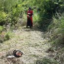 사천고등학교 이미지