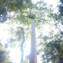 차와 함께 세계여행 이미지