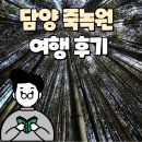 죽녹원 | 담양 죽녹원 여행 후기