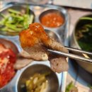 양재시민의숲역 2번출구 | 양재시민의숲역 맛집 가성비 냉삼 양재역 고기 판교집 양재직영점