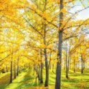 남천온누리약국 이미지