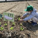 친환경농장 이미지