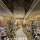 호텔벨라 | 부산 스몰 웨딩 센텀 호텔 벨라 홀 계약 후기