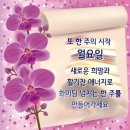 행복한 인사말 이미지 이미지