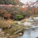 푸른별펜션 이미지