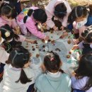 가을 숲으로 놀러가자 이미지