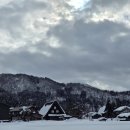 남09 | 09. 시라카와고 푸딩, 아이트립 투어 내돈내산 후기