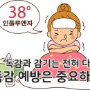 독감에 대한 이해와 예방 이미지