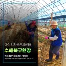 아산시협의회, 수해복구 지원 자원봉사, 영인면 신화리 방울토마토농장 이미지