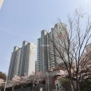 늘푸른단지공인중개사사무소 이미지