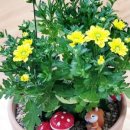 외삼초등학교(병설) 이미지