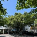 청도 지오 오토캠핑장 | 전세캠 기분 잔뜩 내고 온 청도 지오오토캠핑장