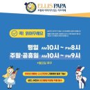 앨리스파파