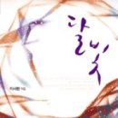 달빛바라기 이미지