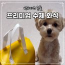 우월한 탄산 이미지