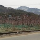 미륵리 마을회관 이미지