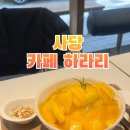 사당역 조용한 테라스 카페 하라리, 빙수 맛집 내돈내산