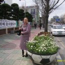 예쁘게뜨게 Daum카페