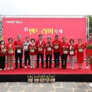 섬 맨드라미 축제 이미지