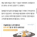 영화 유튜버 ‘거의없다’ 영상 대거 삭제+관련 입장문 (저작권 문제) 이미지