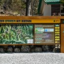 원주산악자전거파크 더쎈뉴스