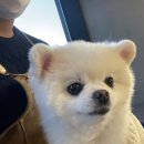 (주)디자인비비 이미지