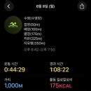수영-101 네이버블로그