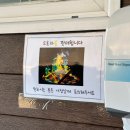 친절한 순필씨 | 경남 하동 촌캉스 감성 민박 펜션 - 친절한 순필씨