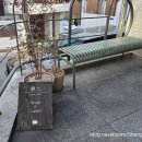 주정차46 | 용산 베이커리무이 - 둘도 없는 맛이 맞는지 제가 확인해 봤습니다