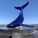 영흥도관광펜션