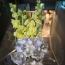 7513 | 빌라드지디 청담 식사 후기 - 26년 1월 5주차 기준