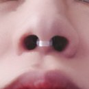 디메디코리아 이미지