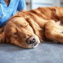 숨온누리약국 이미지