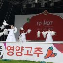 서울시청 영양영양고추축제 이미지