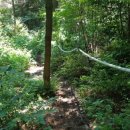 성읍리-13 이미지