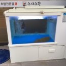 스완초밥 이미지