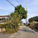 학현리경로당 이미지