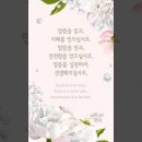 오늘의 '신앙 명언'(227강) 익명(anonymous) 이미지