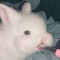 오브비(obvie) 이미지